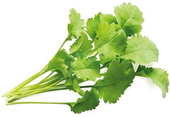 بذر شاهی