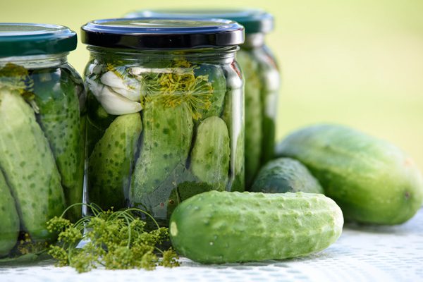 خیار شور و خیار خاردار