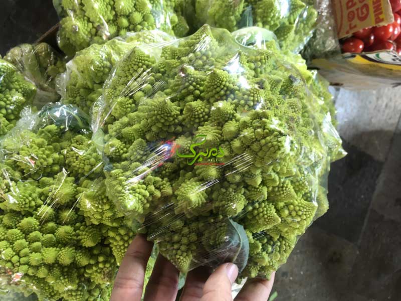 بذر کلم رومانسکو