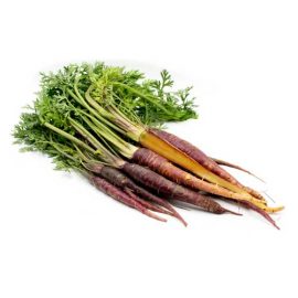 بذر هویج بنفش