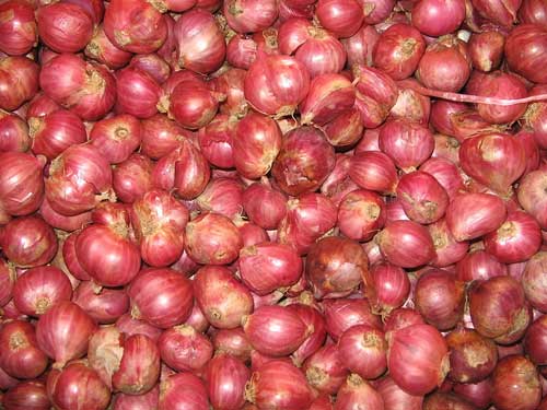 موسیر