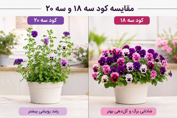 قیمت و خرید کود کریستالون ۱۸-۱۸-۱۸