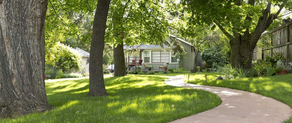 چمن سایه دوست