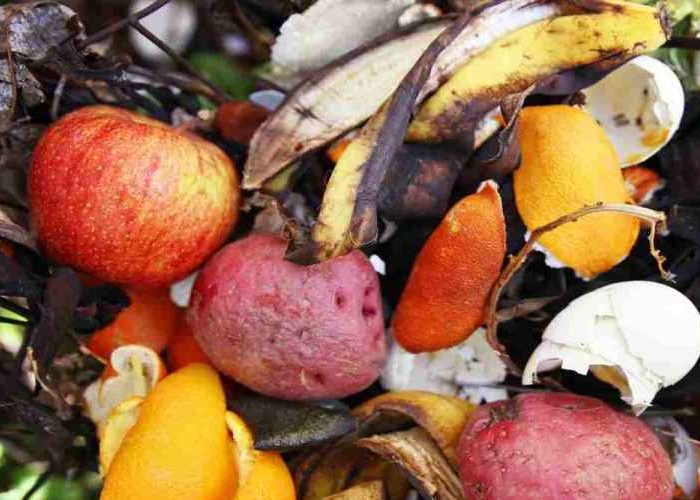 کود ارگانیک چیست