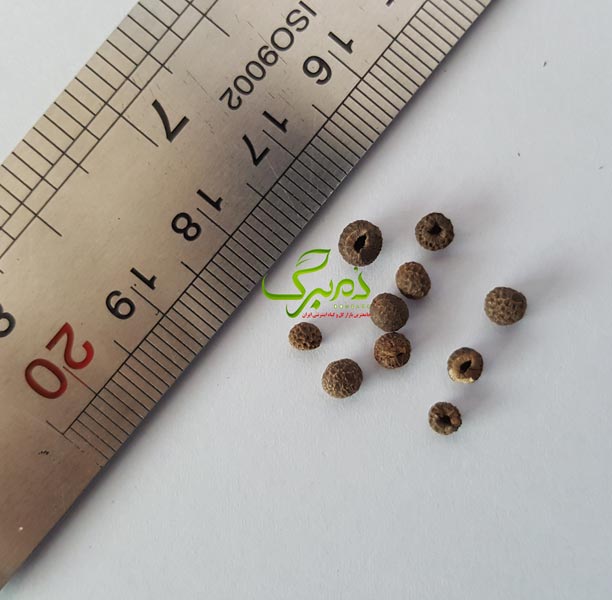 سوزانن فروش بذر گل سوزان چشم سیاه