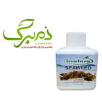 خرید جلبک دریایی