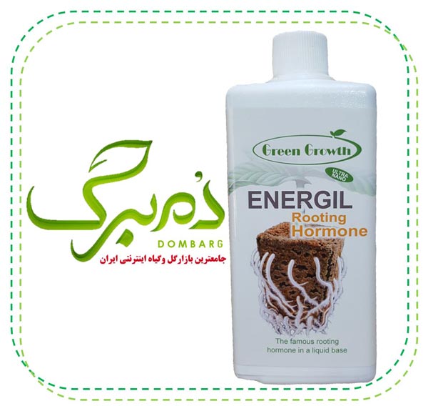 خرید هورمون ریشه زایی گرین