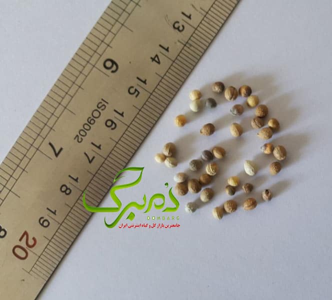 چینی خرید ذر گل چینی