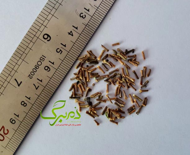 خرید بذر گل شاهپسند