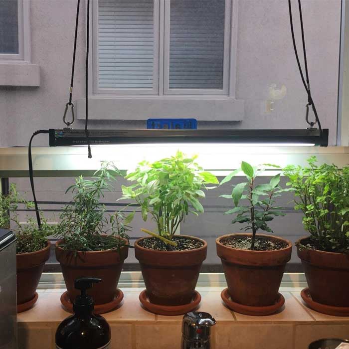 نور مصنوعی برای رشد گیاه