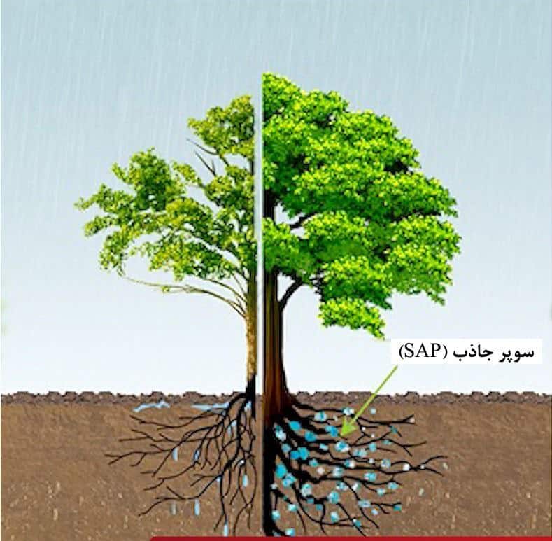 IMG_4991 فروش سوپر جاذب