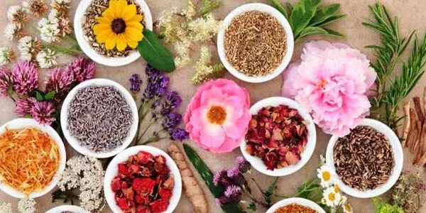 خرید بذر عمده گیاهان دارویی و کاشت آن با توجه به کم عوارض بودن این گیاهان بسیار پرطرفدار است.