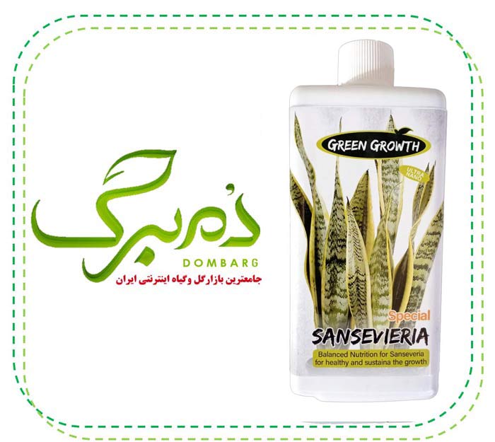 کود مناسب سانسوریا