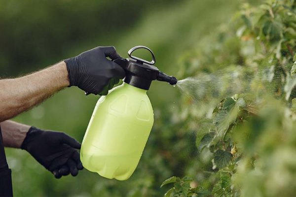 احتیاط های لازم در مصرف کود ارگانیک زینک 700 اس سی