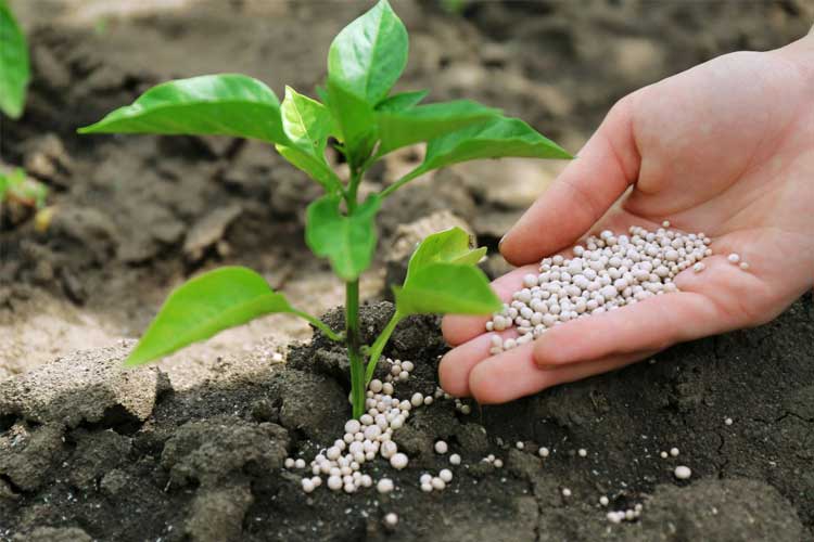 کود شیمیایی چیست