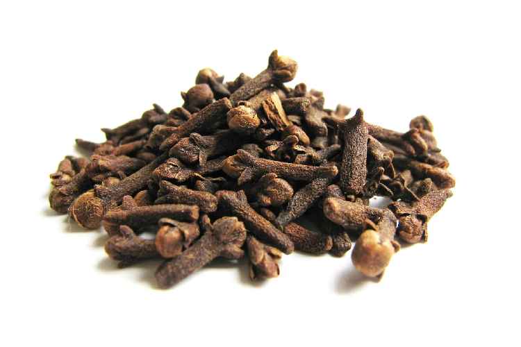 نحوه تشخیص بذر گل میخک