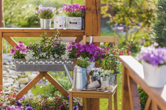 انواع گل چهار فصل برای بالکن