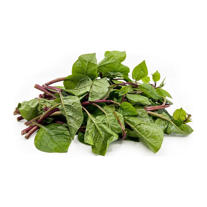 بذر اسفناج مالابار