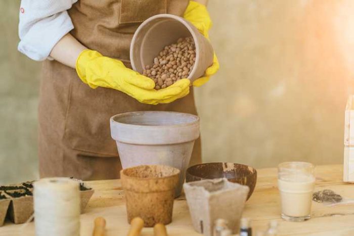 طریقه زهکشی گلدان و اهمیت آن