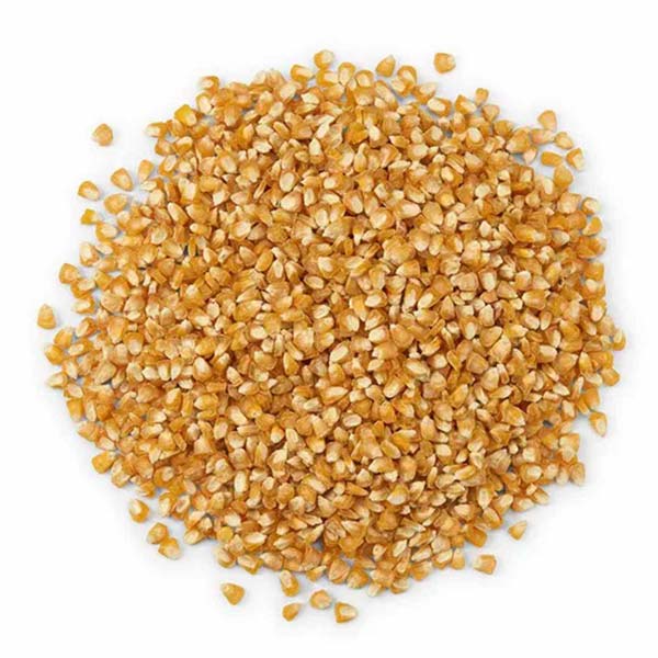 sweet-corn-2