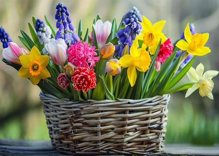انواع گل‌ های بهاری
